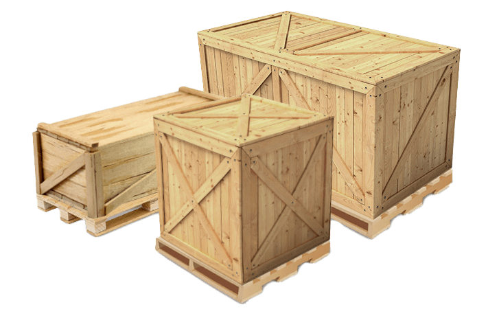 Custom Freight Container