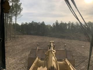 land clearing 20