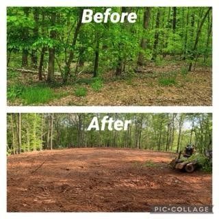 before and after land clearing 1