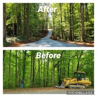 before and after land clearing 2