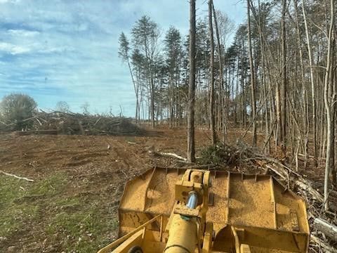 land clearing 4