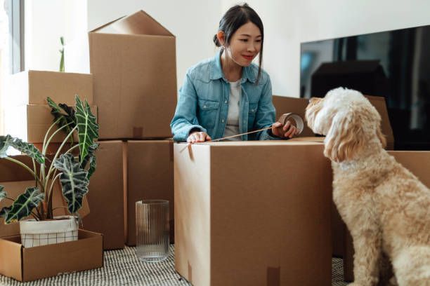 Woman in denim jacket smiles at a fluffy dog; surrounded by cardboard moving boxes and plants.