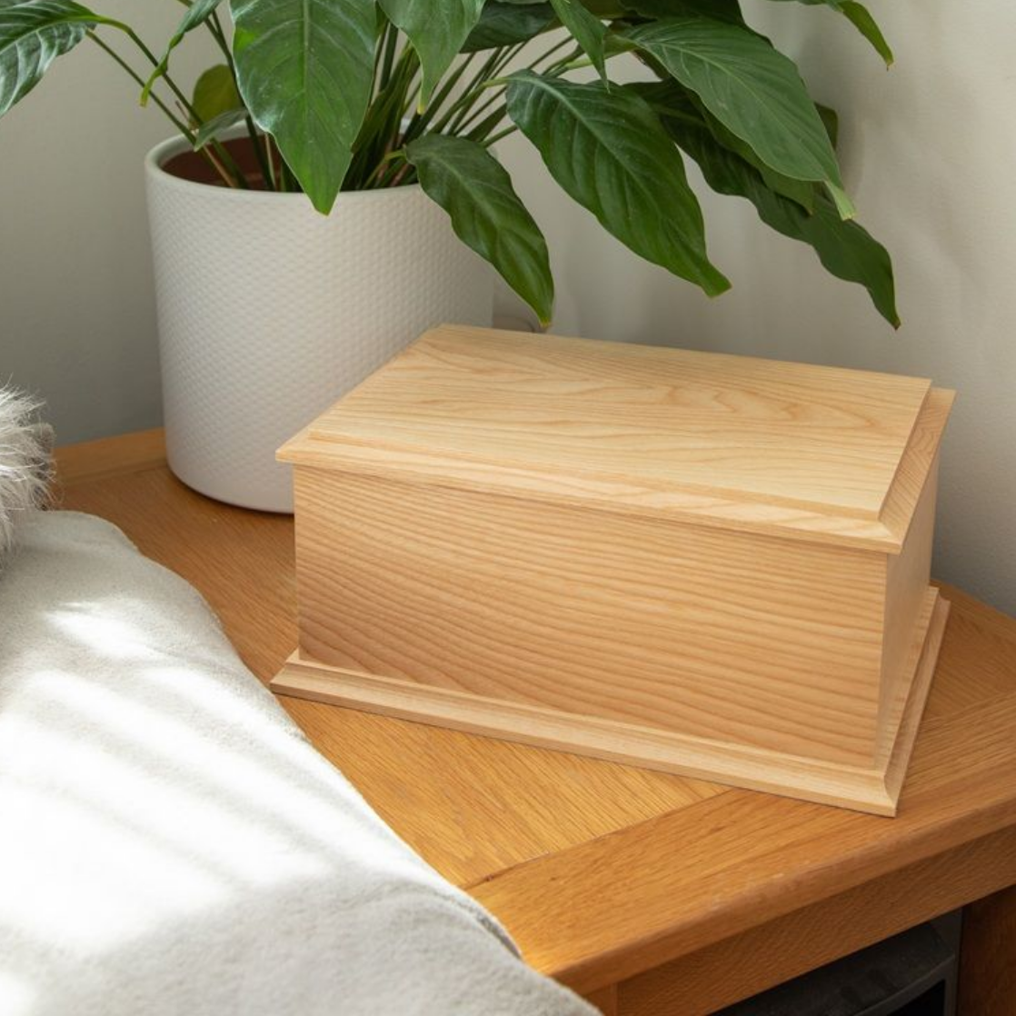 Wooden cremation urn on a table, with a potted plant and a blanket nearby.