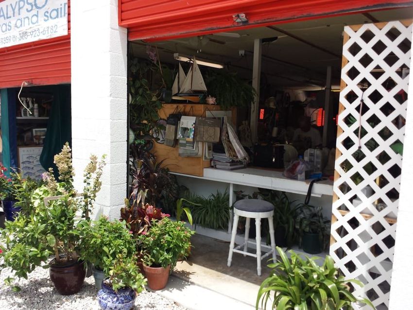 A shop entrance with a gravel walkway, numerous potted plants, and a white stool inside under a partially open red door.