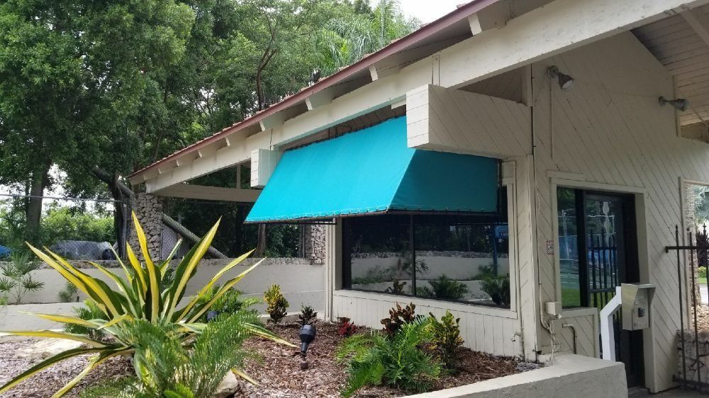A bright teal awning extends over a window on the side of a white building, with a large, spiked plant in the foreground.