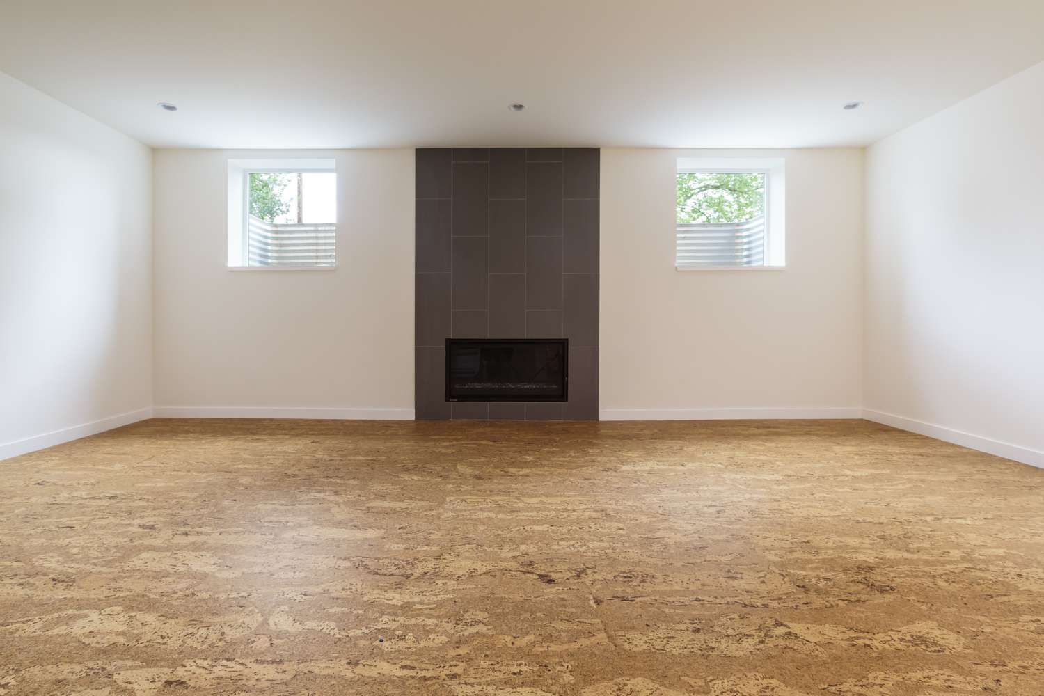 A modern basement entertainment area with a cork floor — Tweed Coast Cork & Timber Floors In Tweed Heads, NSW