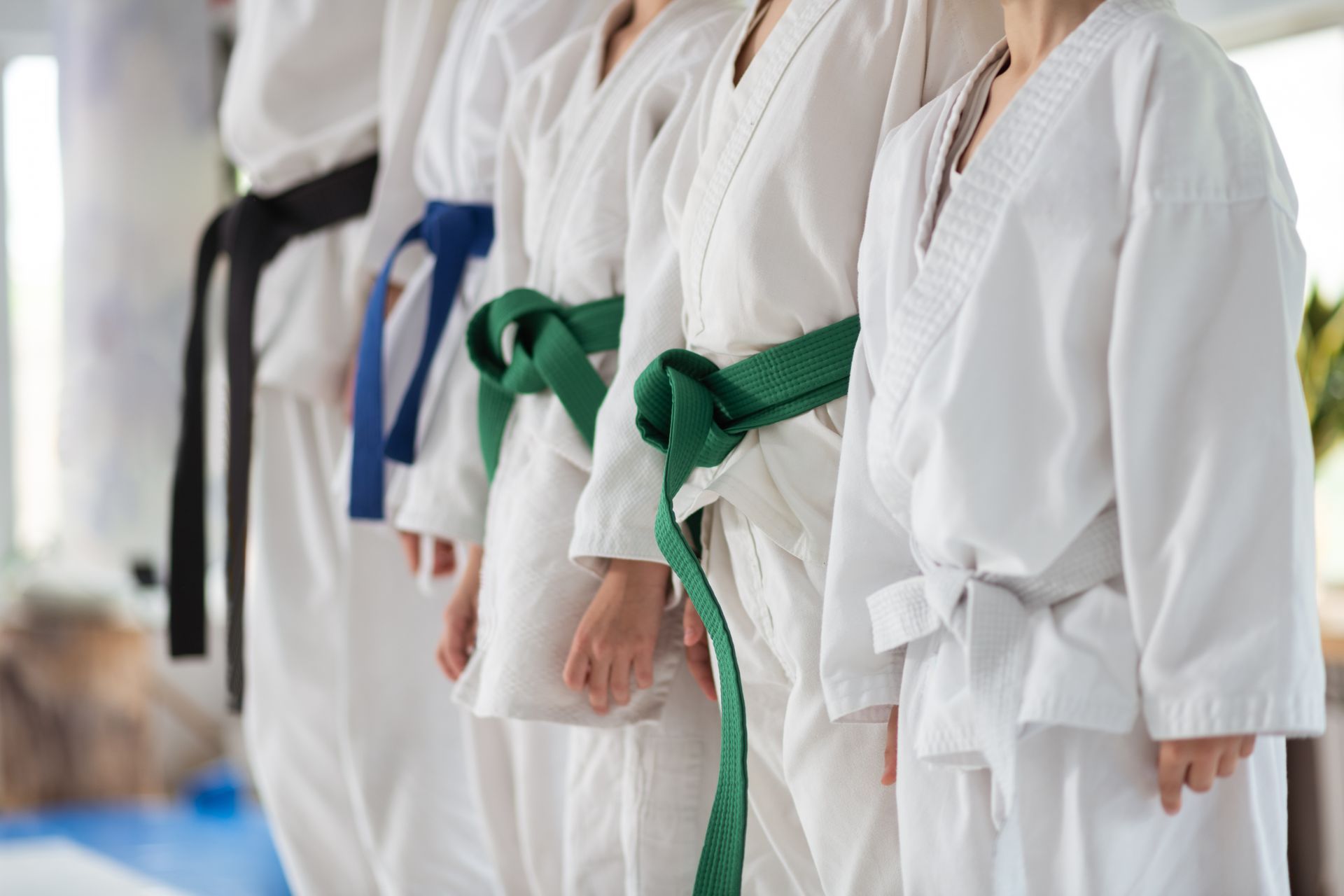 A group of children wearing karate uniforms and belts are standing in a row.