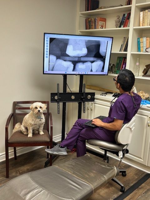 Dr. Ta is looking at an x-ray with Watson beside him.