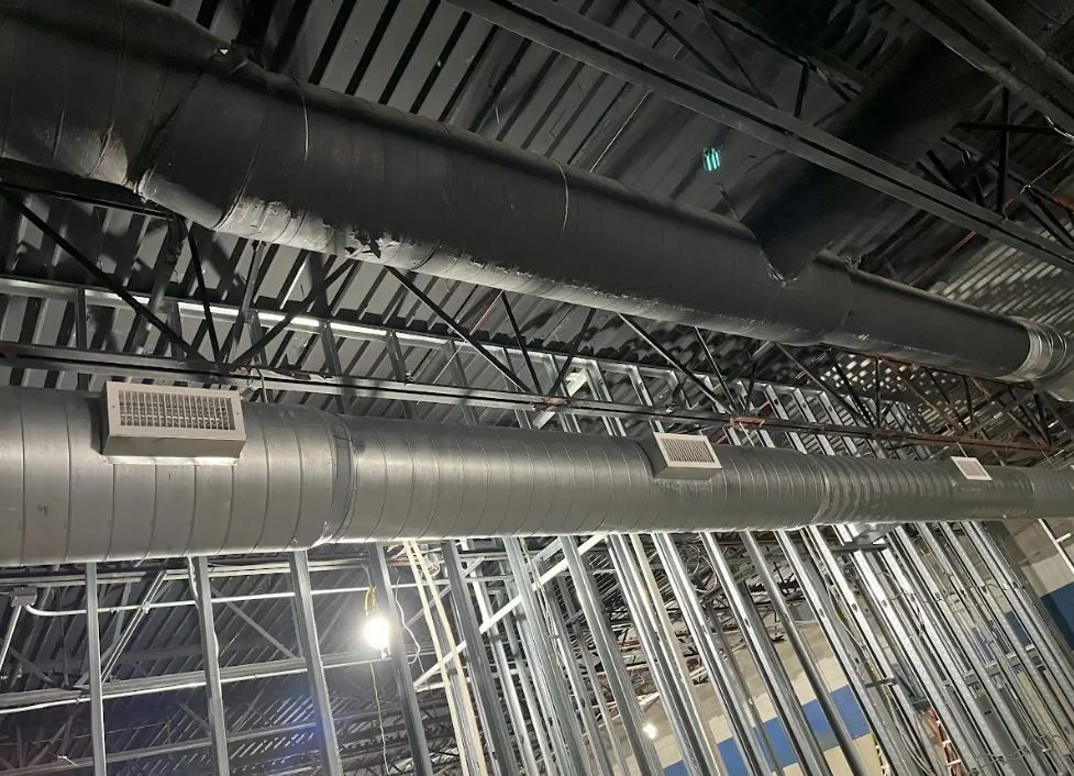 A long hallway with a couch and a potted plant.