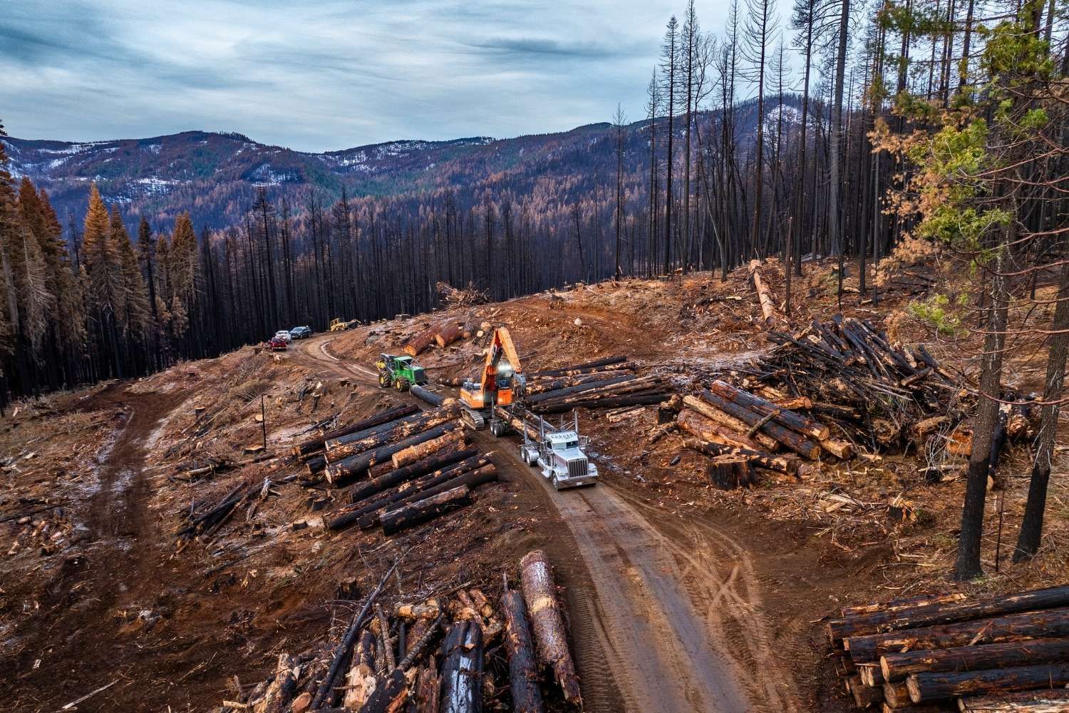 Wood Products Marketing & Sales | Peterson Timber California