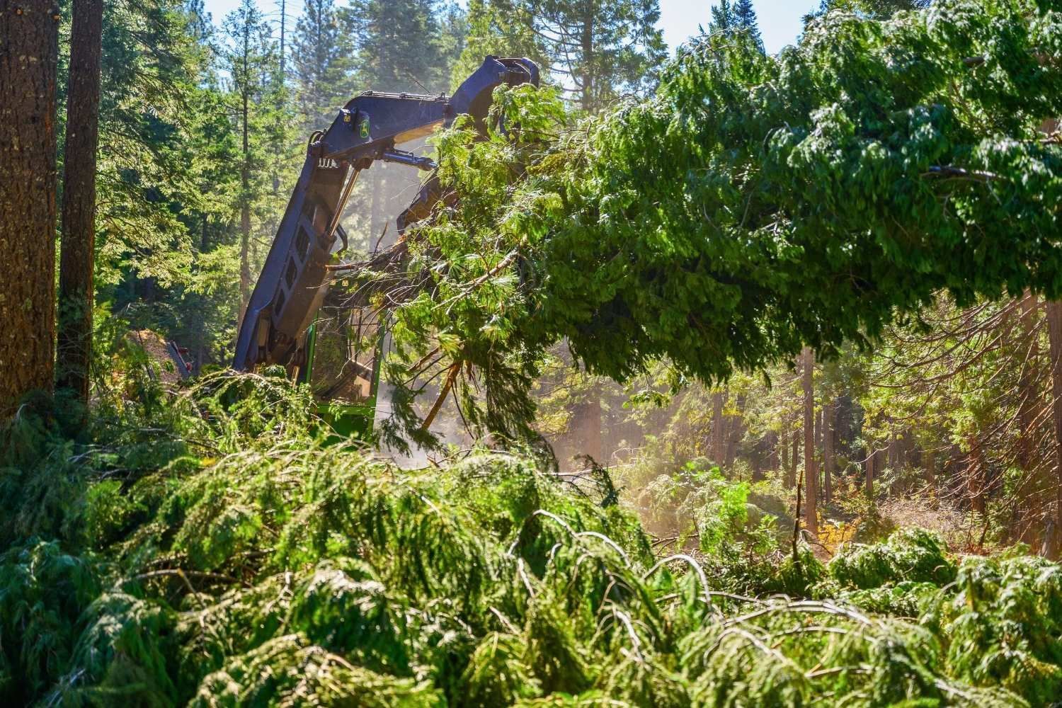 Wood Products Marketing & Sales | Peterson Timber California