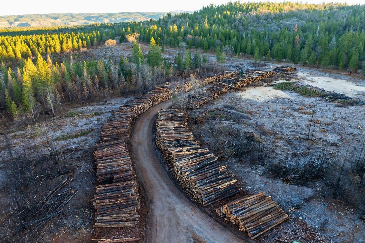 Wood Products Marketing & Sales | Peterson Timber California