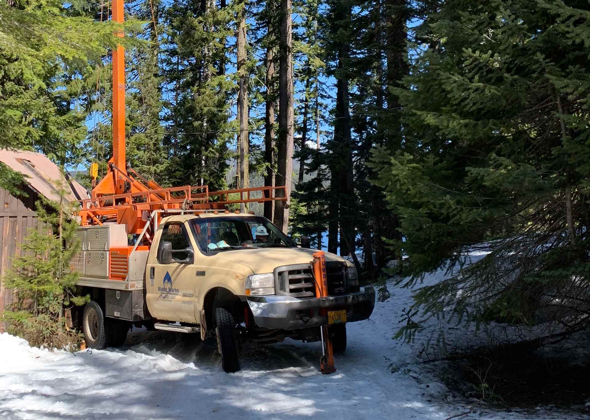 crane by trees