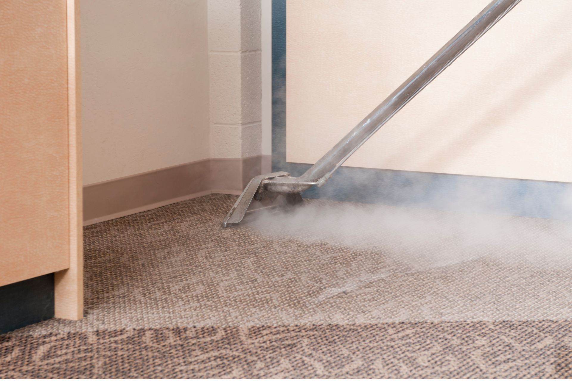 Steam Cleaning Carpets vs Shampooing Choice Janitorial