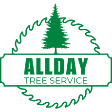 The logo for allday tree service shows a pine tree in a circle.