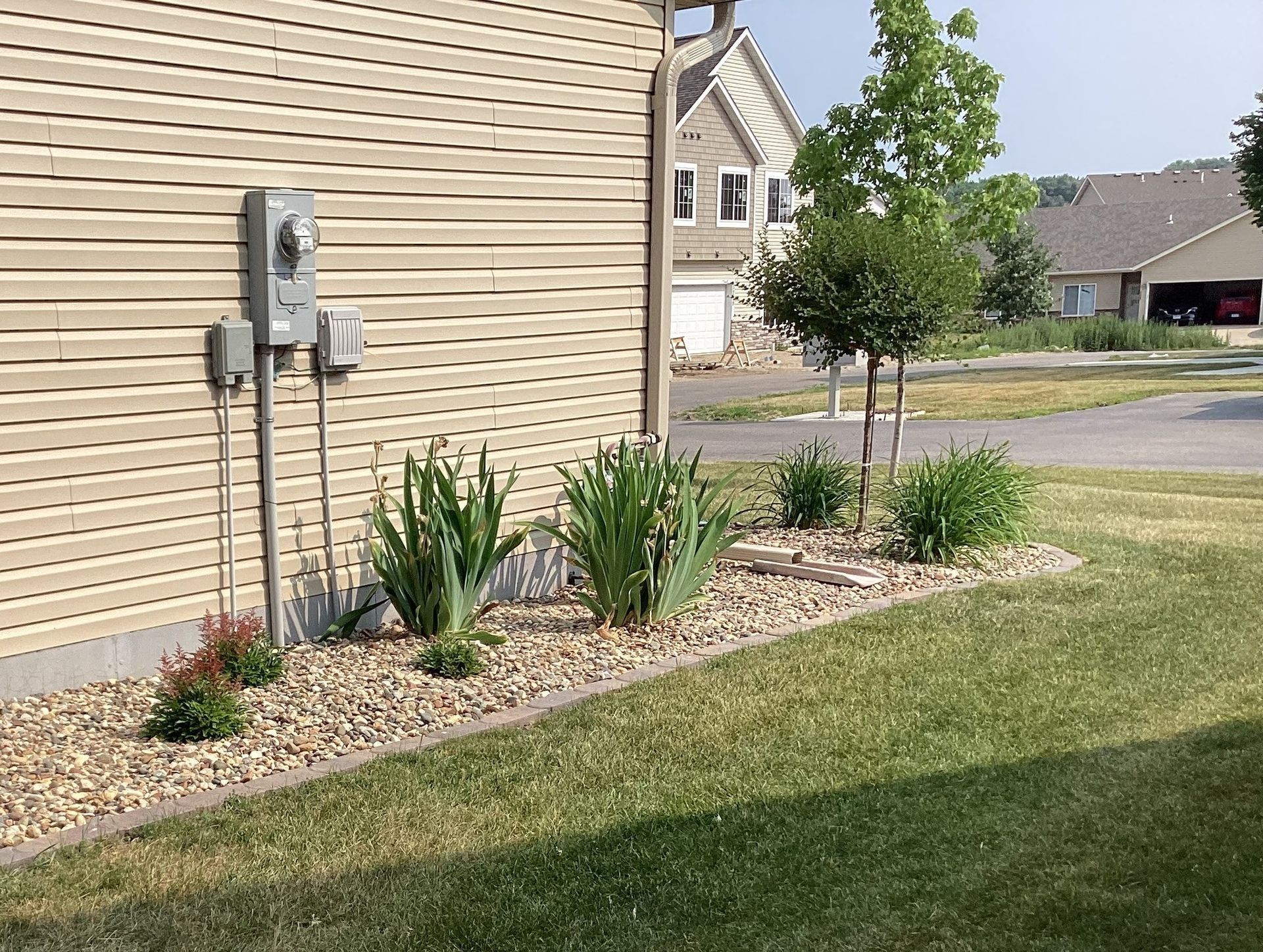A house with a lot of plants in front of it