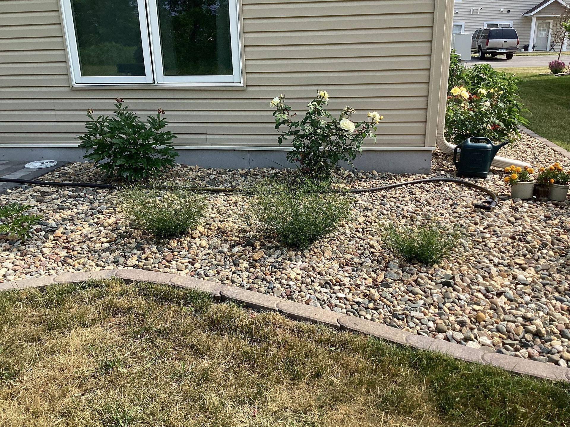 A yard with a lot of rocks and plants in front of a house.
