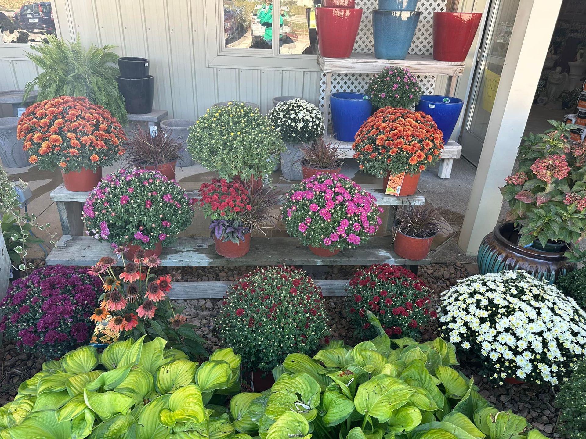 A bunch of potted plants are sitting on a porch.