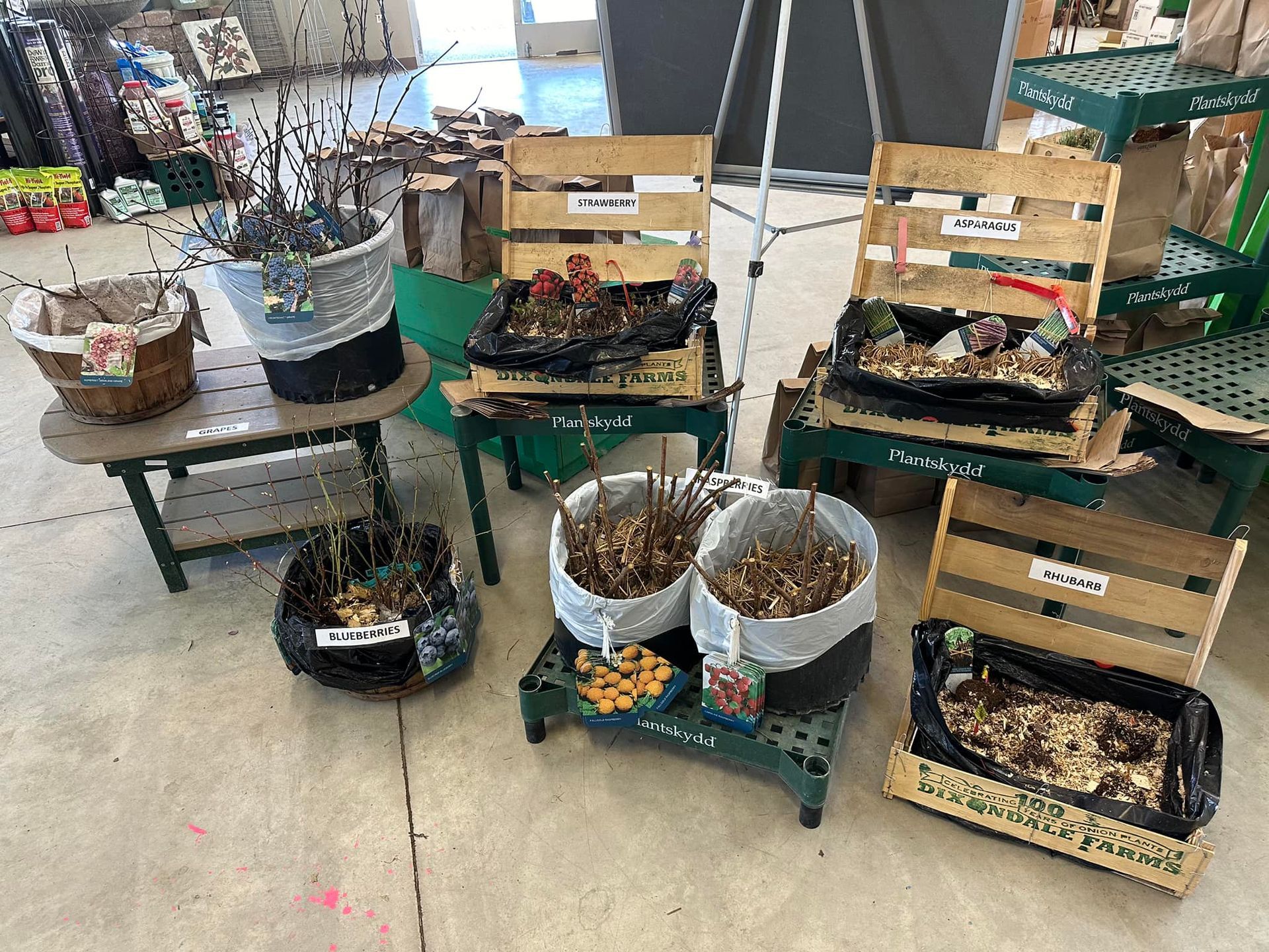 A bunch of potted plants are sitting on a table in a room.