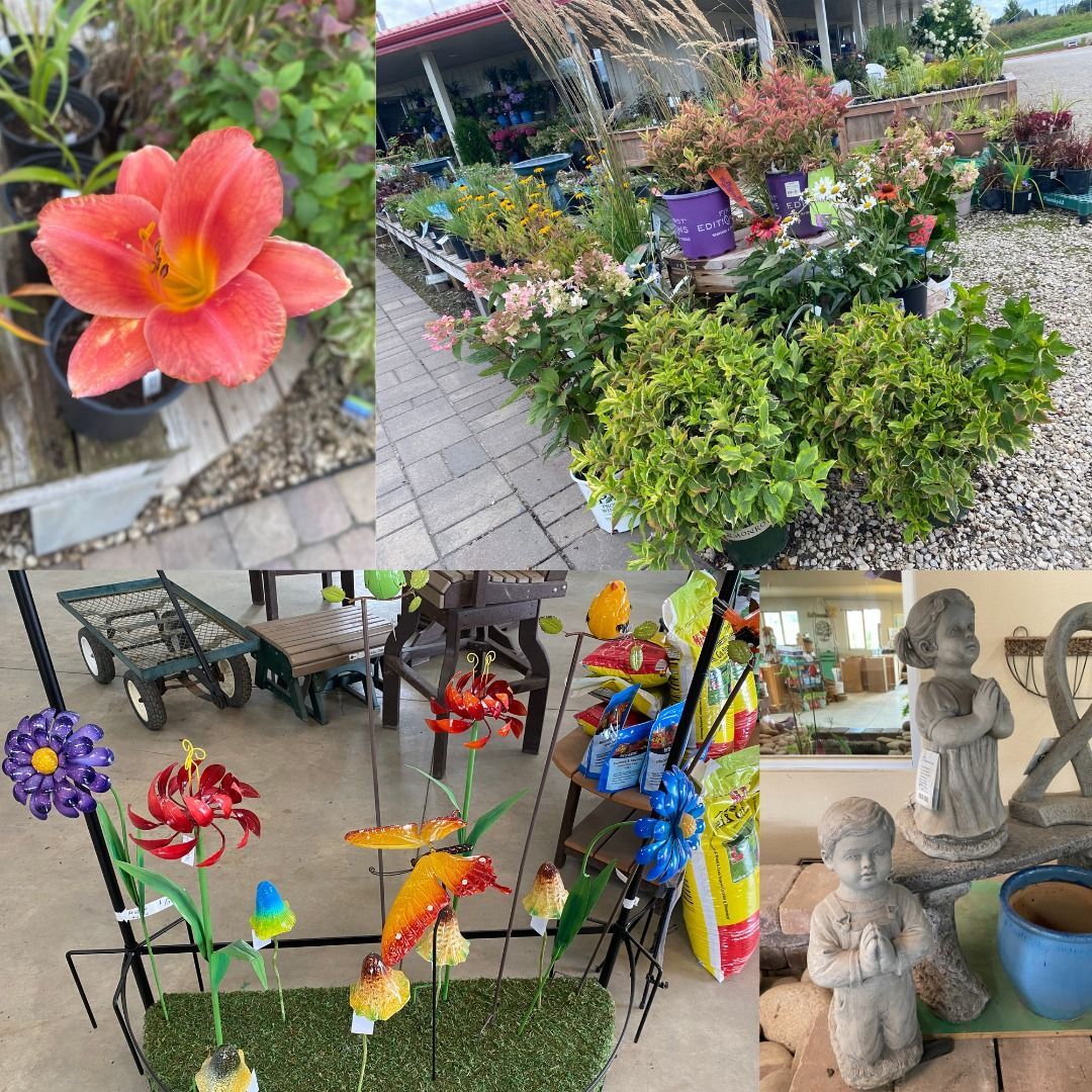 A collage of pictures of flowers , plants and statues