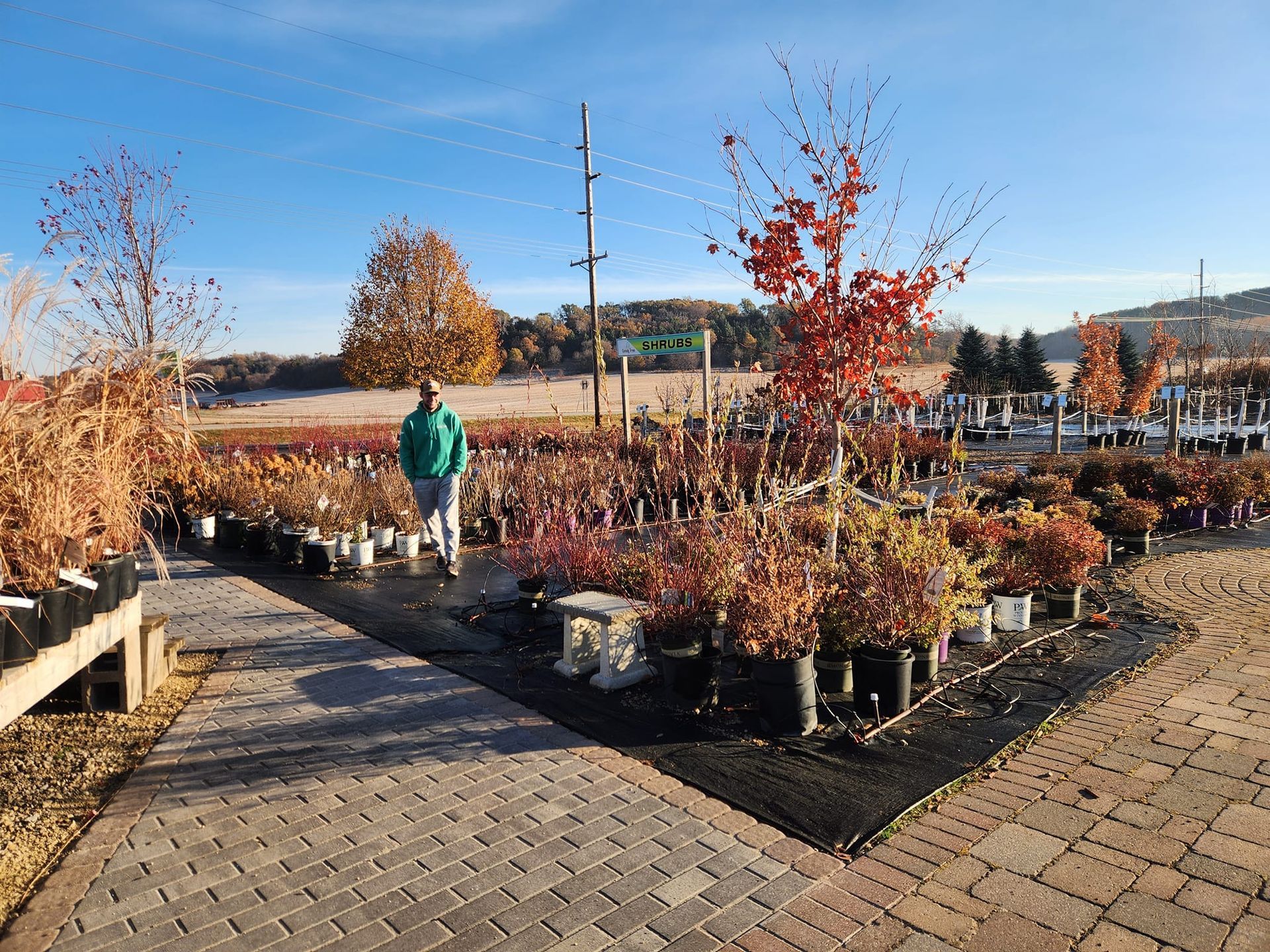 A man is standing in a garden center surrounded by potted plants.