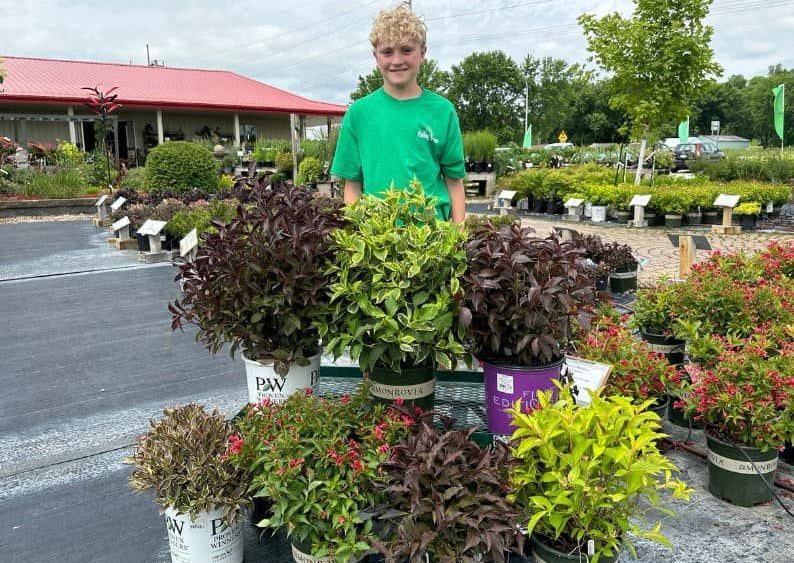 A young boy is standing in front of a display of potted plants.