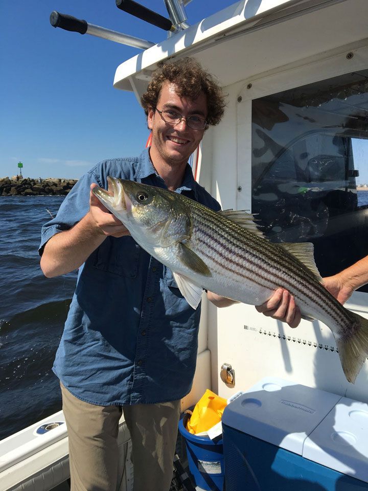 Striped Bass Fishing Newburyport