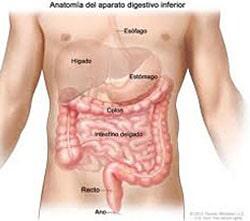 Dr. Jesús Wilfrido Zazueta Gómez