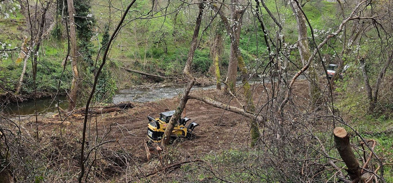 A tractor is cutting down a tree in the woods.
