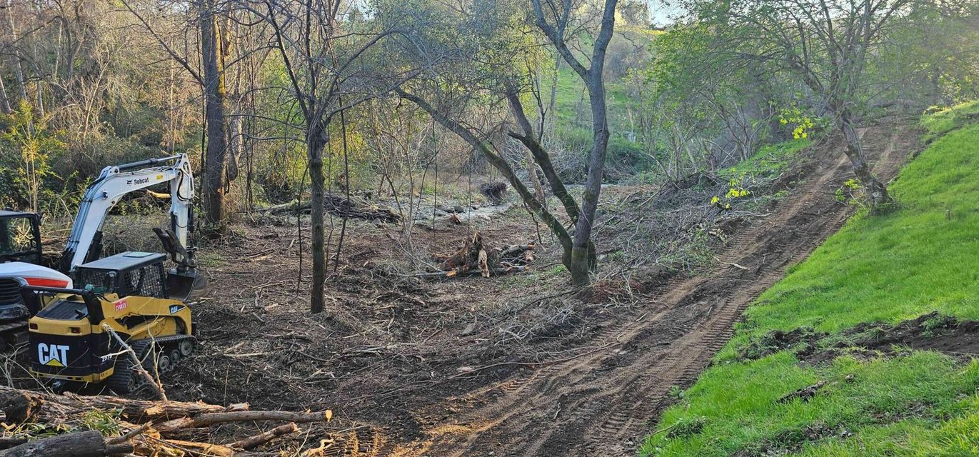 A bulldozer is cutting down trees in a forest.