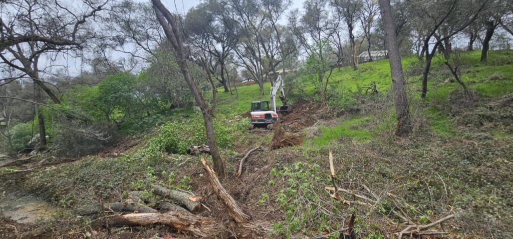 A bulldozer is cutting down trees in a forest.