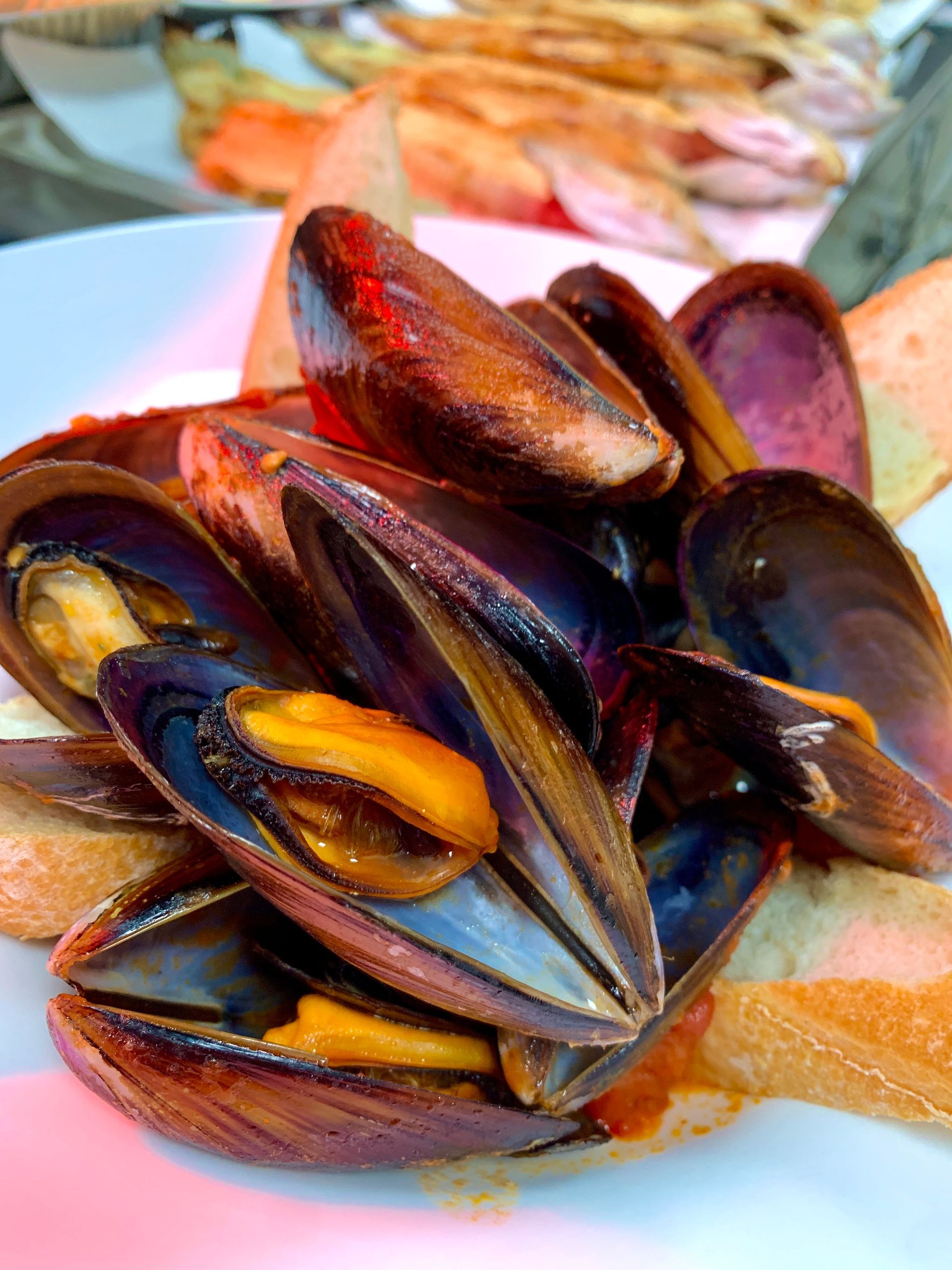 Cozze al vapore in salsa, servite su un piatto bianco con pane tostato.