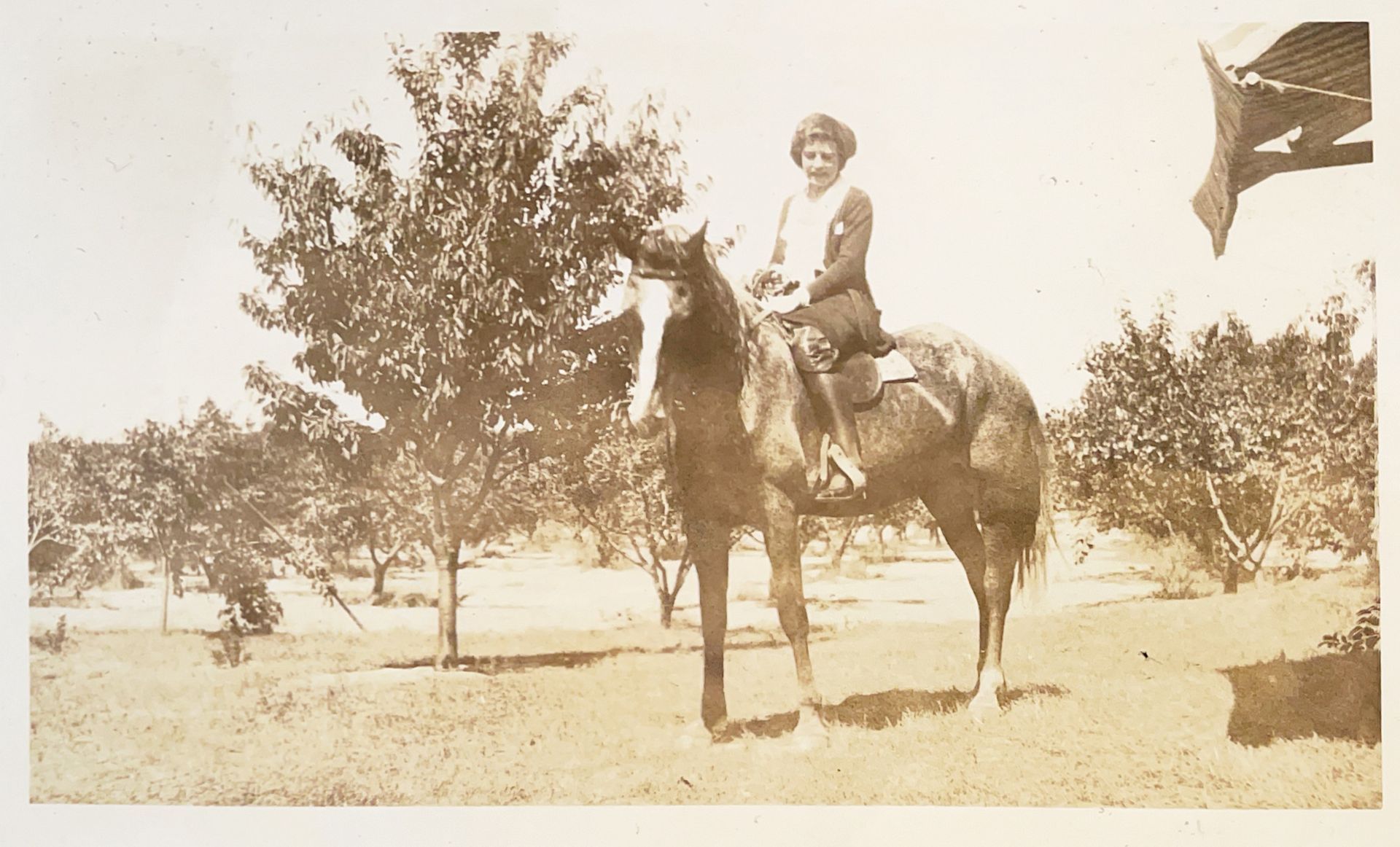 A black and white photo of a woman riding a horse
