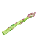Asparagus image, Nourishing Resilience
Vanessa Previero, M.Sc. Clinical Nutrition