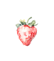 Strawberry image Nourishing Resilience
Vanessa Previero, M.Sc. Clinical Nutrition