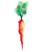 Carrot images Nourishing Resilience
Vanessa Previero, M.Sc. Clinical Nutrition