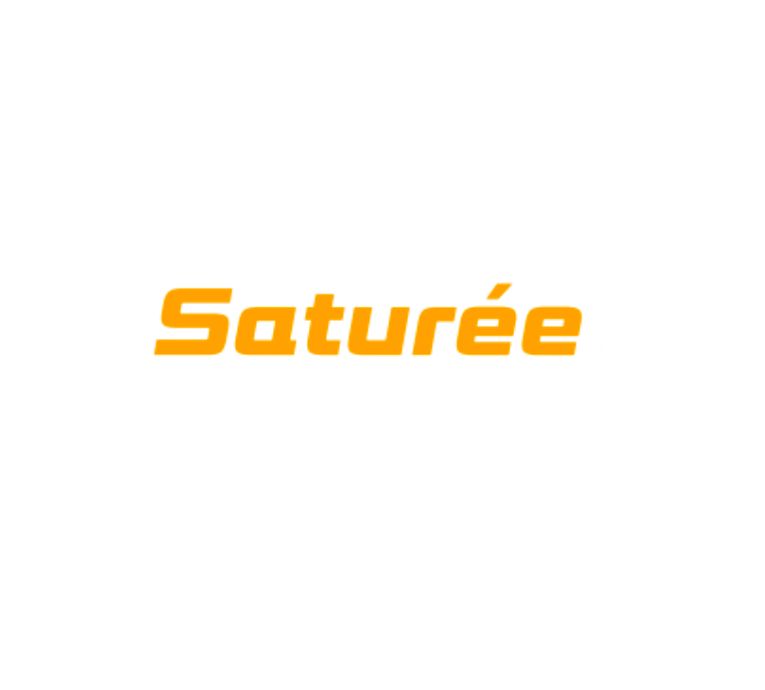 The logo for saturee is orange and white on a white background.