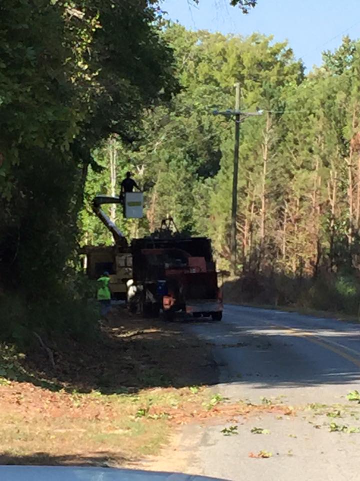 Munholland Tree Service Crew At Work — Monroe, LA — Munholland Tree Service