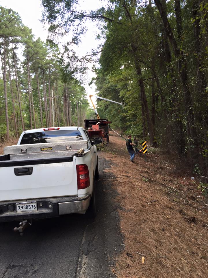 Trimming Trees Beside The Road — Monroe, LA — Munholland Tree Service