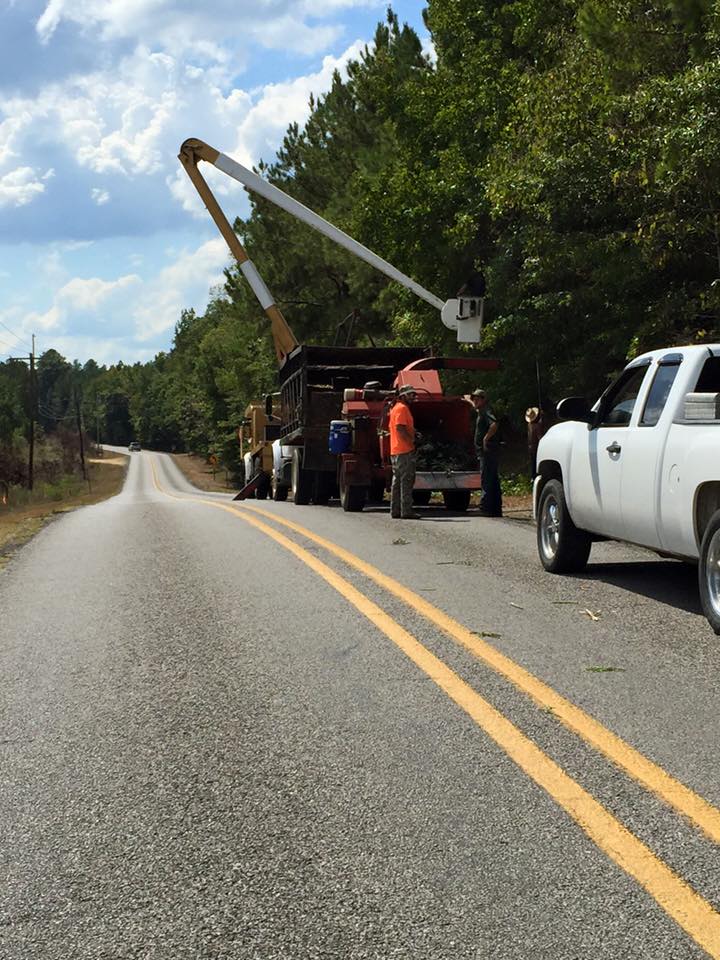 Trimming Highway Trees — Monroe, LA — Munholland Tree Service