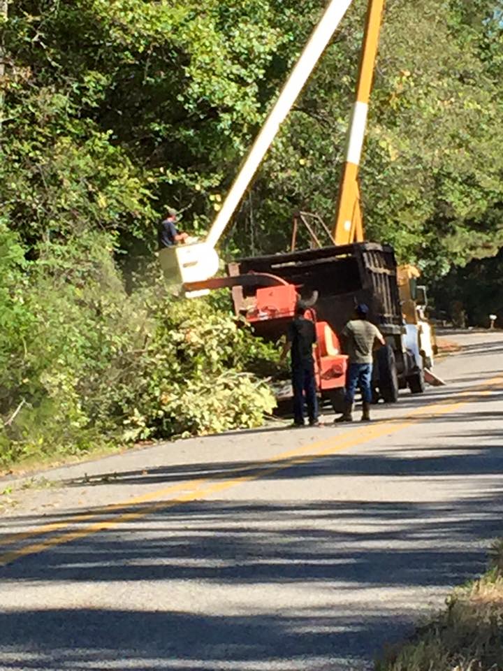 Tree Trimming — Monroe, LA — Munholland Tree Service