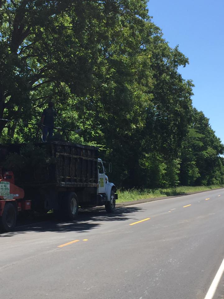 Tree Service Truck On Highway — Monroe, LA — Munholland Tree Service