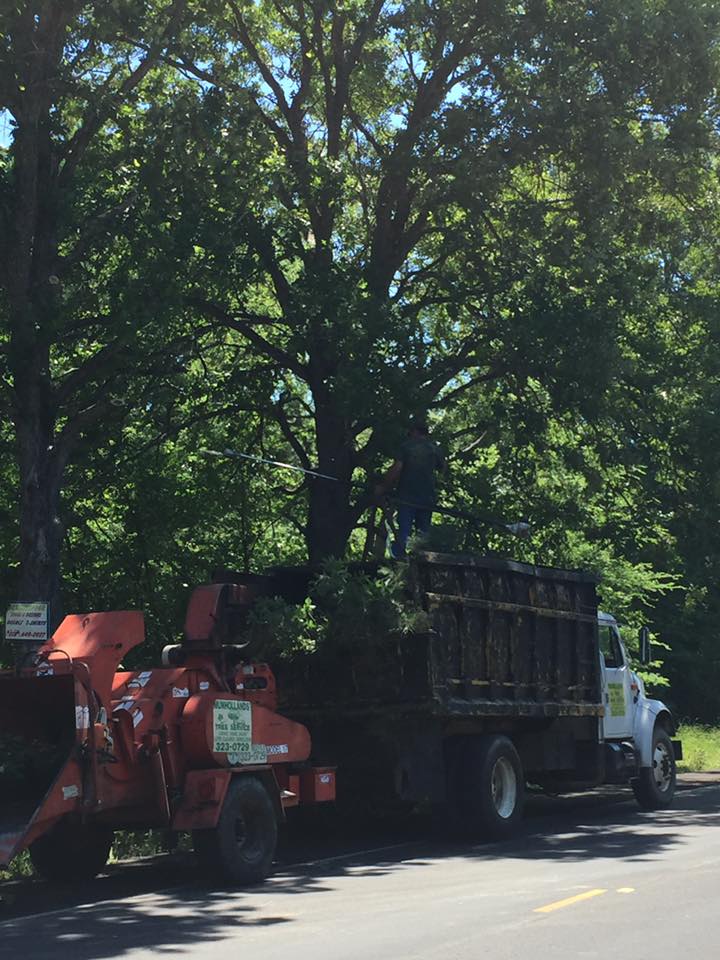 Trimming Trees Beside The Highway — Monroe, LA — Munholland Tree Service