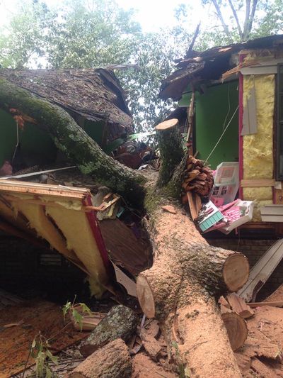 Tree Fell To A House — Monroe, LA — Munholland Tree Service