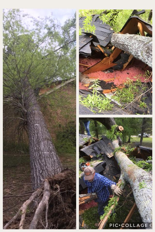 Tree Fell To A Residential House — Monroe, LA — Munholland Tree Service