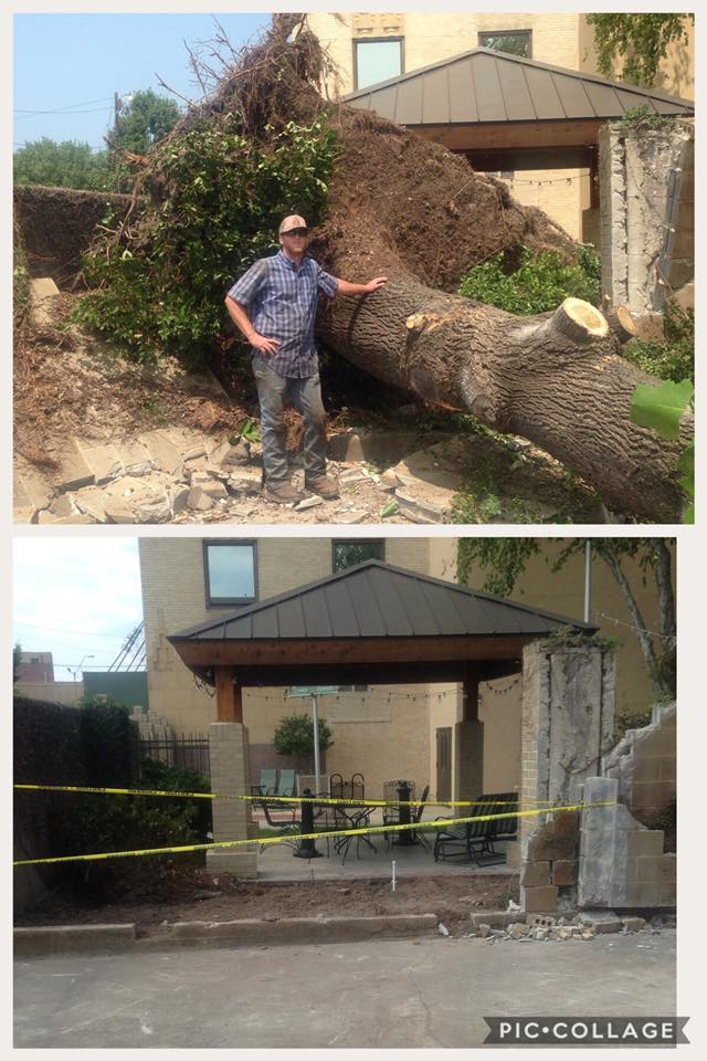 Tree Removal — Monroe, LA — Munholland Tree Service