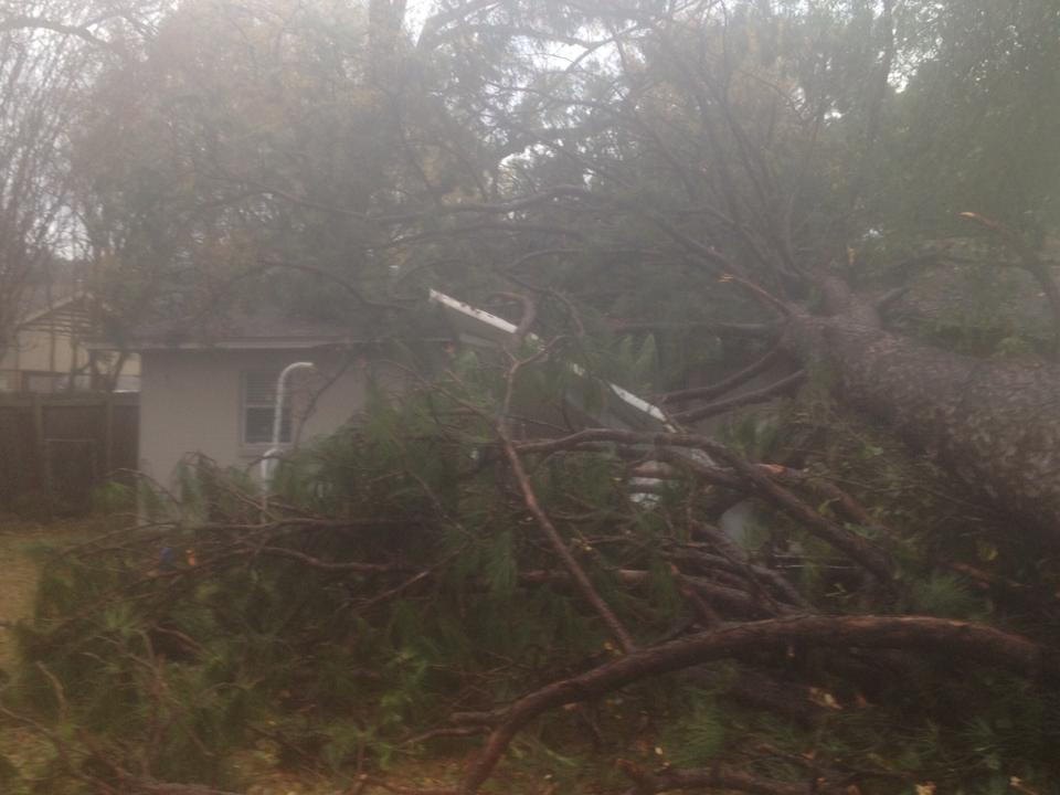 Residential Tree Fell Due To Storm — Monroe, LA — Munholland Tree Service