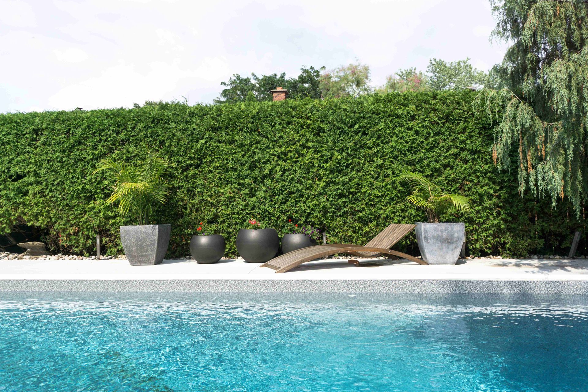 Poolside lounge chairs beside a turquoise pool, backed by a tall green hedge and potted plants