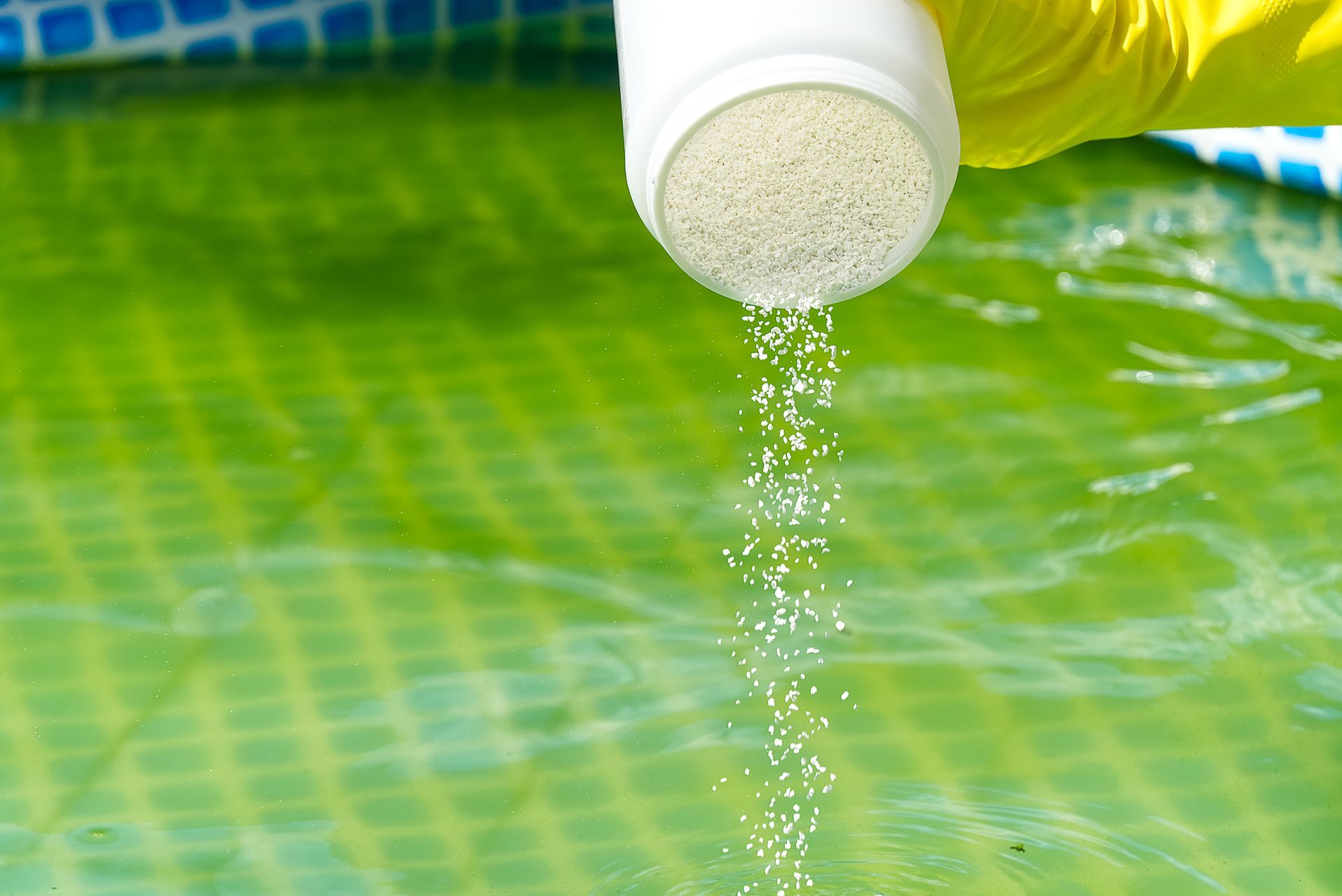 A gloved hand pouring white granular pool chemicals into a green, algae-filled swimming pool.