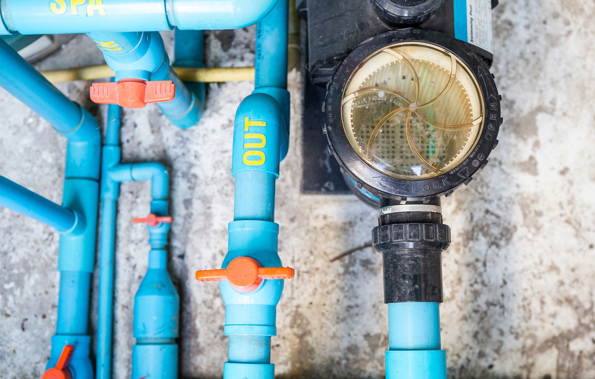 Overhead view of blue PVC pipes, valves, and a pool pump housing with a clear, debris-filled lid.